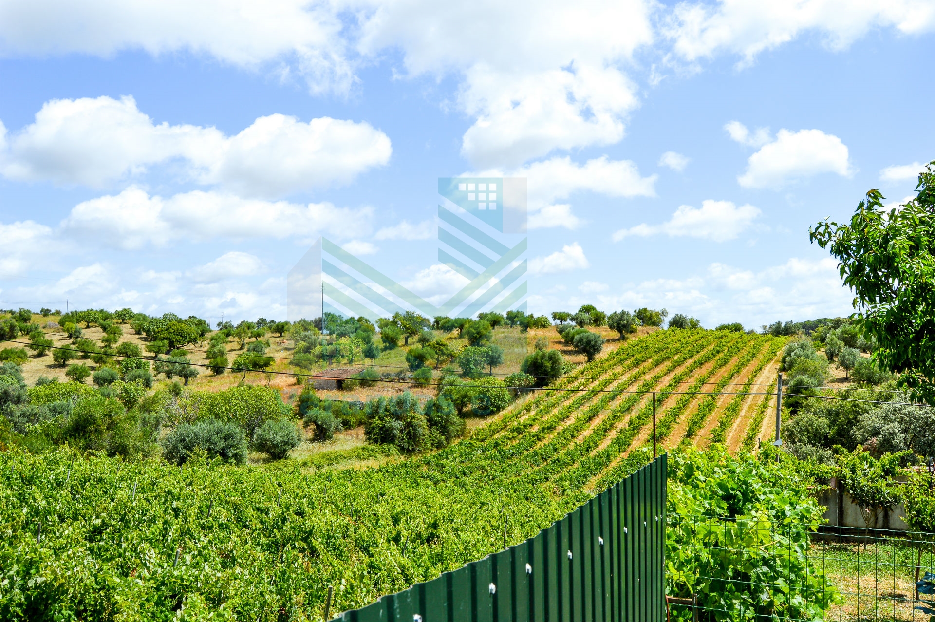 Maison 3 Chambre(s)+1