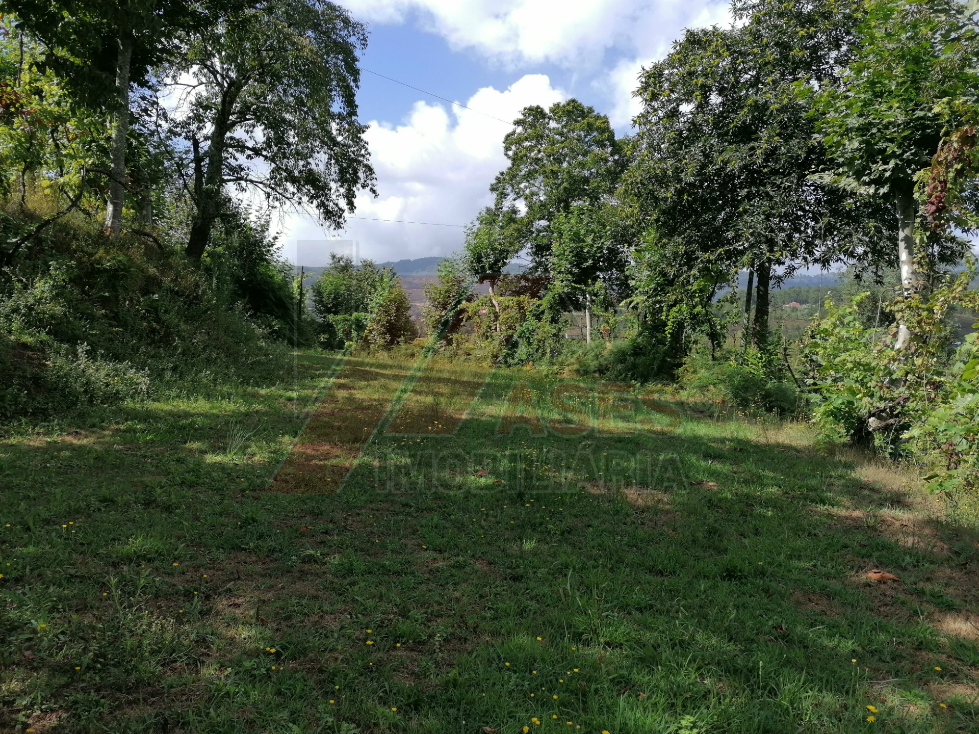 Terreno Para Construcción