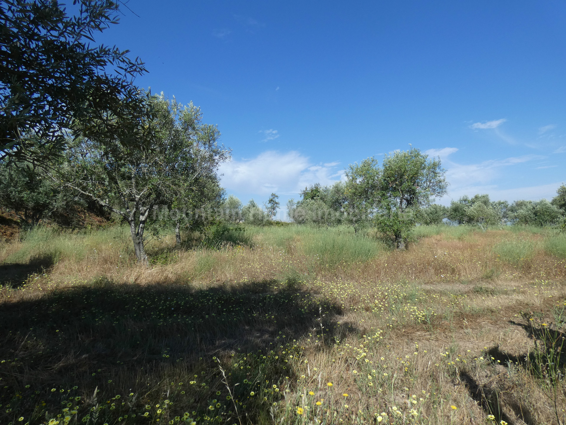 Terreno per Costruzione Monolocale