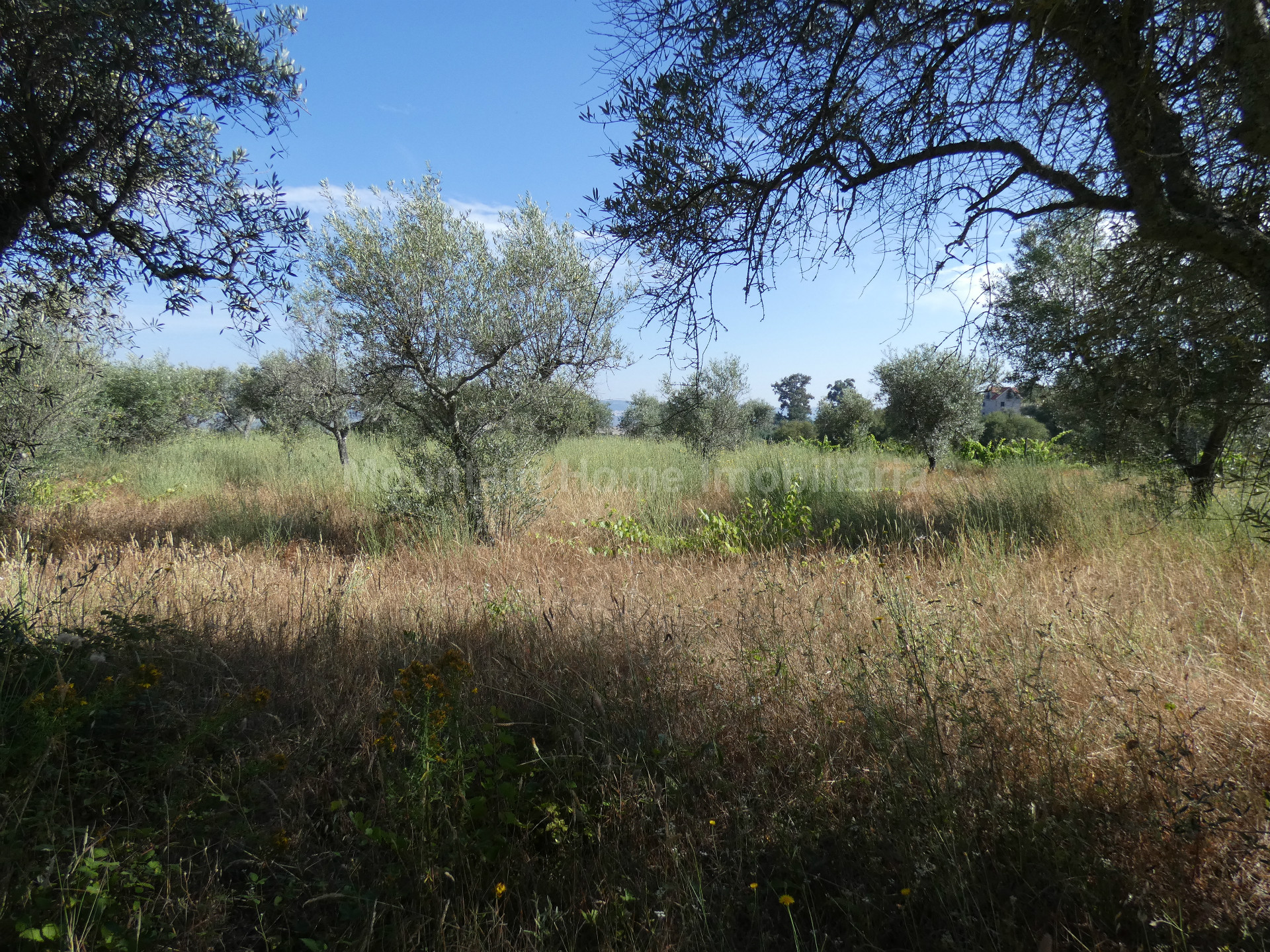 Terreno per Costruzione Monolocale