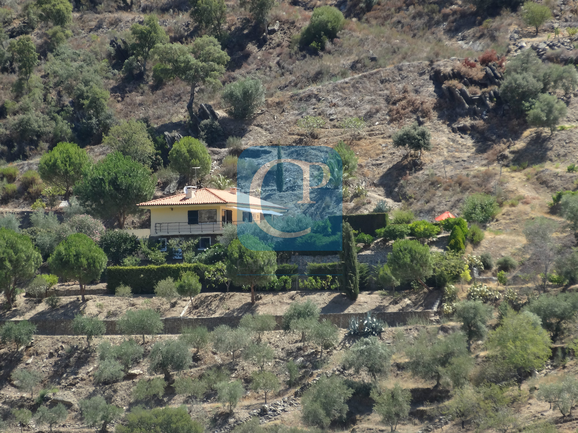 Quinta no Alto Douro Vinhateiro