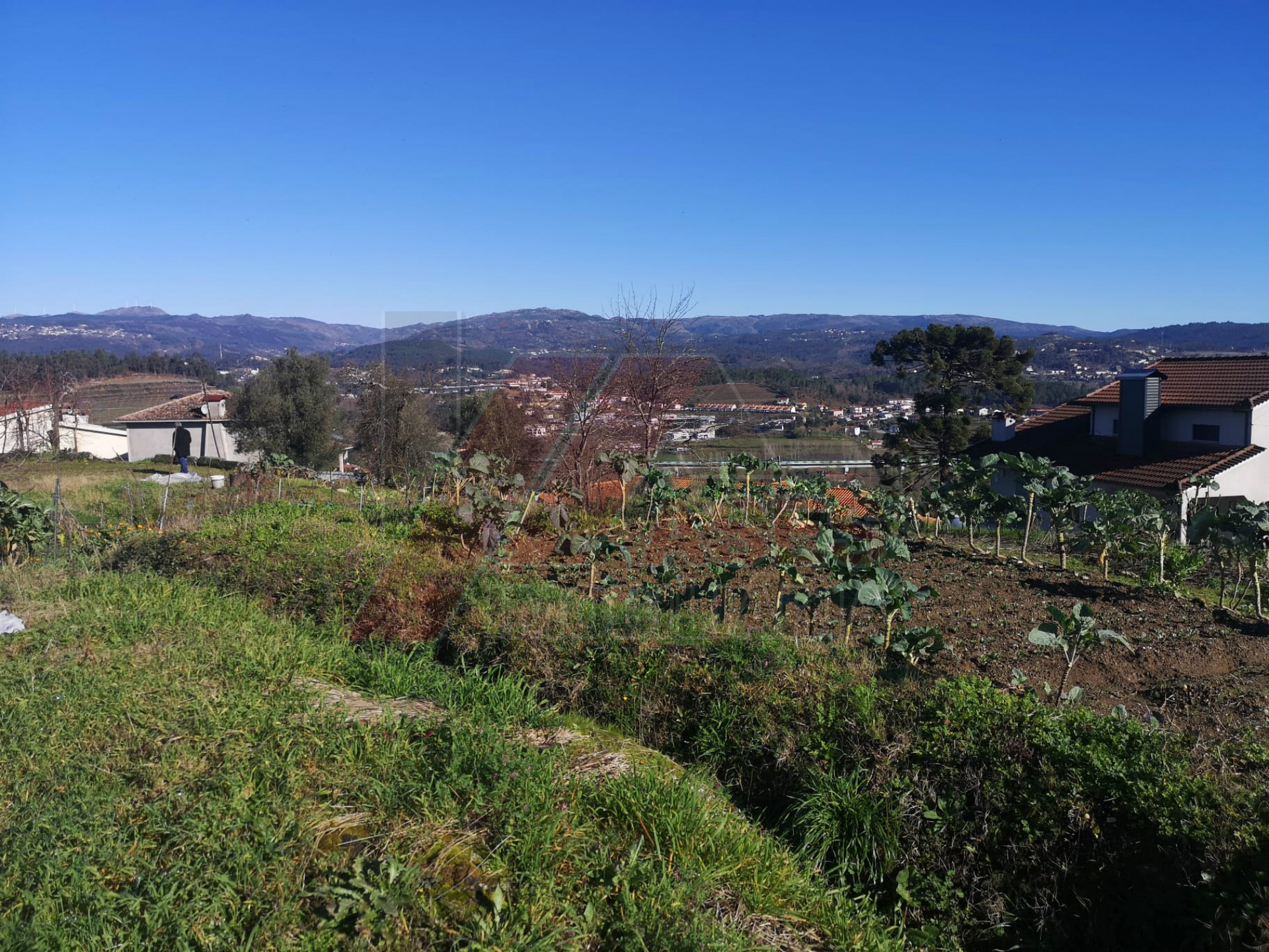 Terreno per Costruzione