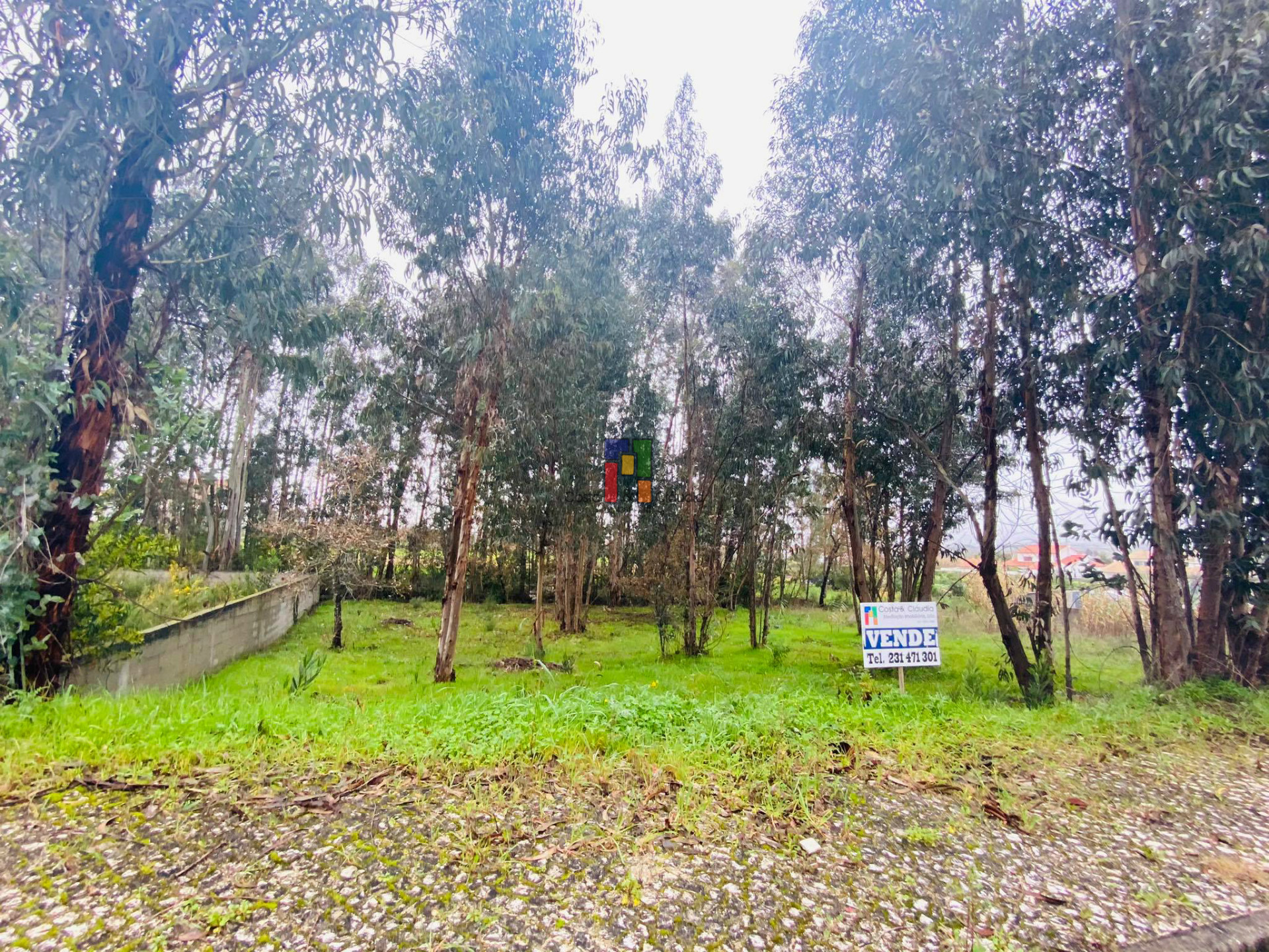 Real Estate building T3