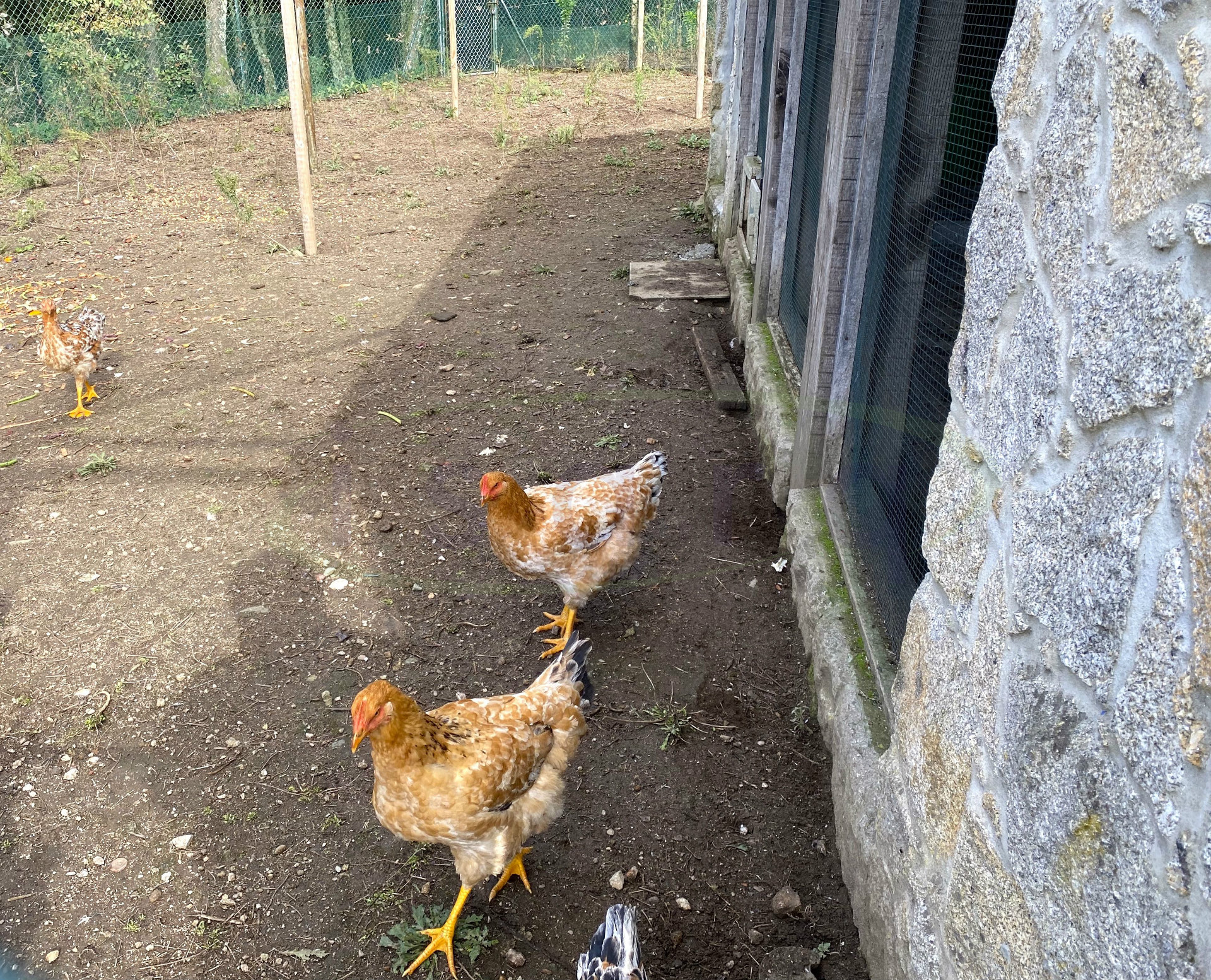 Propriété de tourisme rural sur le Camino de Santiago