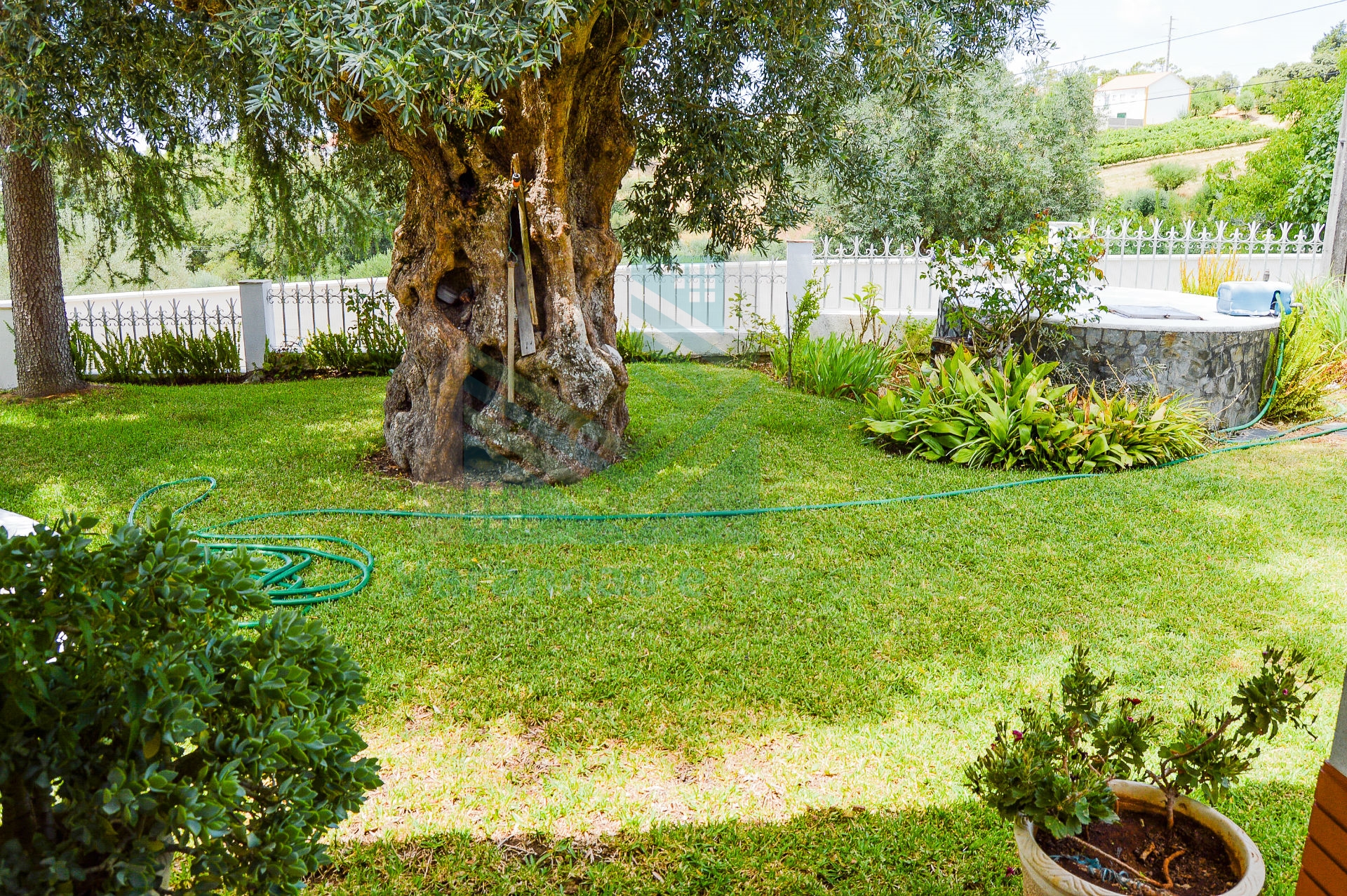 Maison 3 Chambre(s)+1