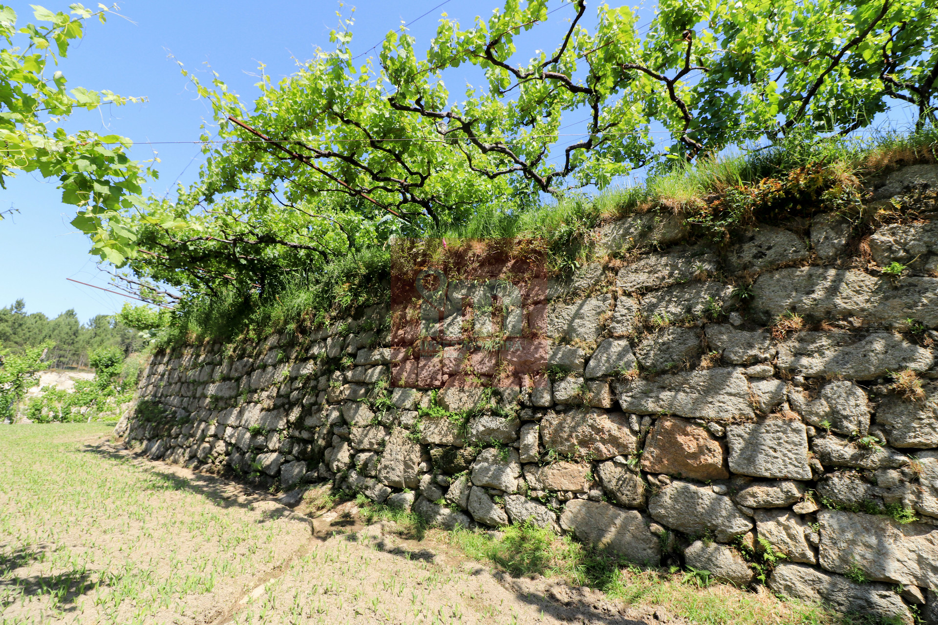 Herdade