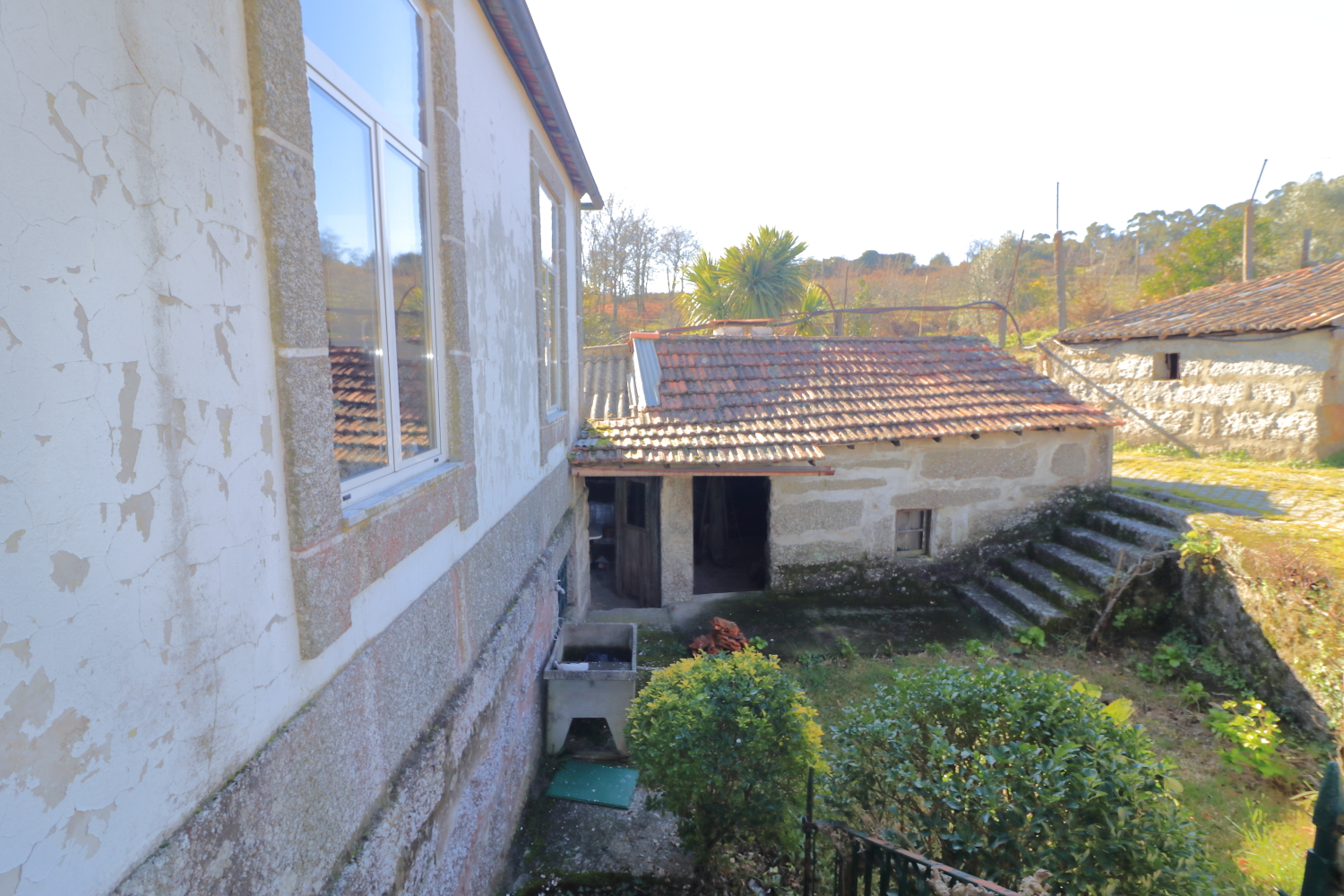 Quinta T5