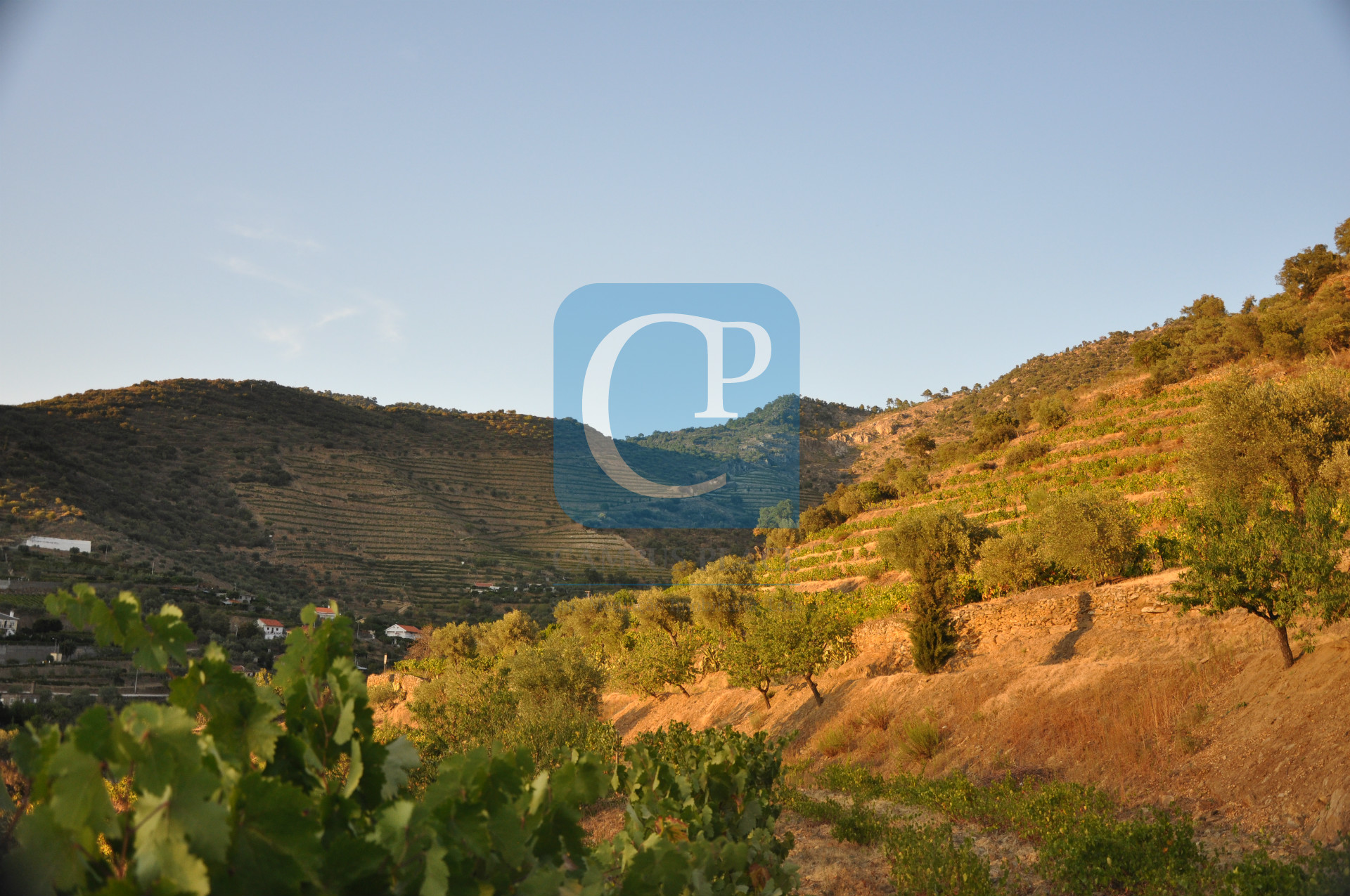 Quinta no Alto Douro Vinhateiro