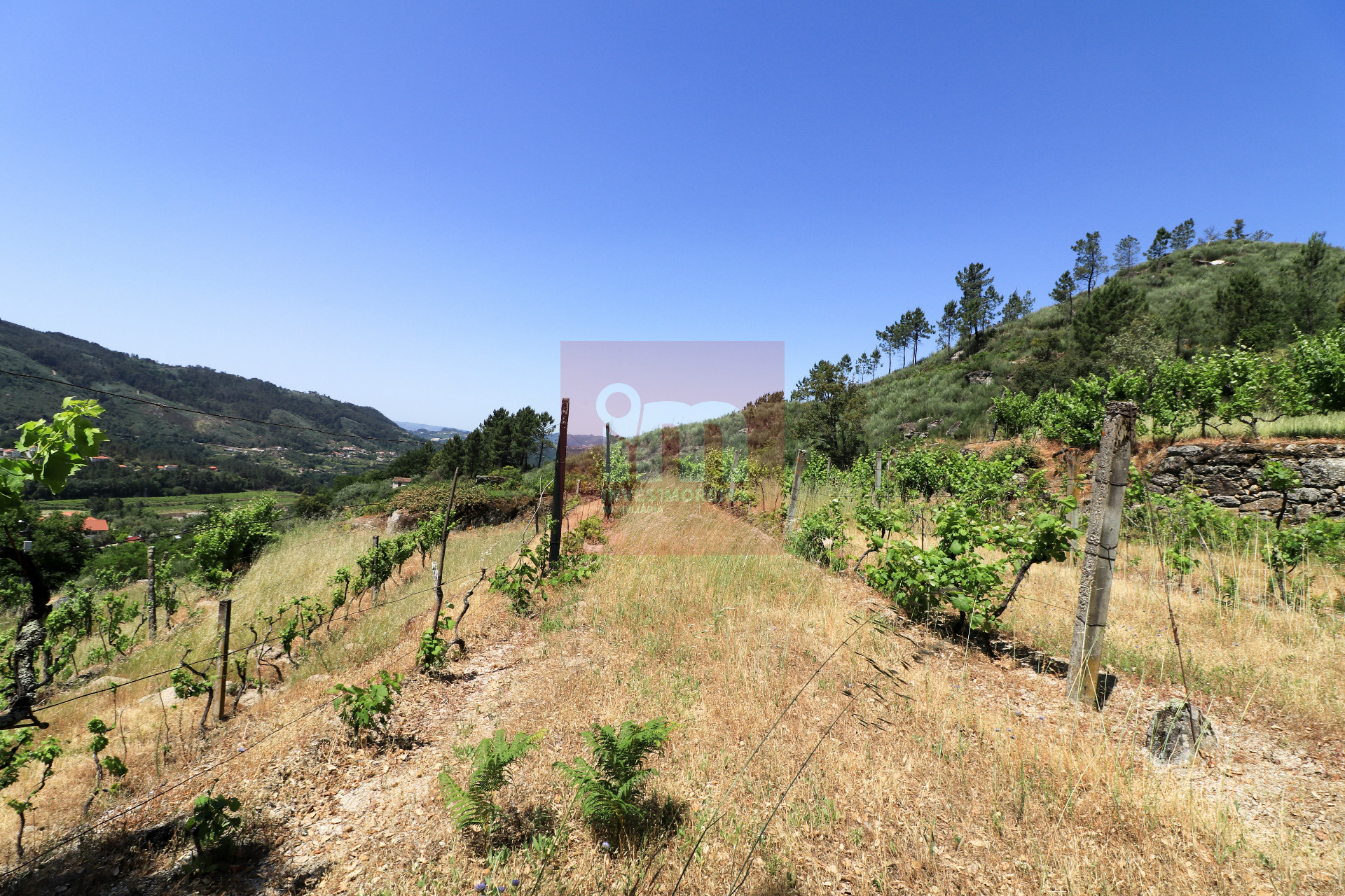 Herdade