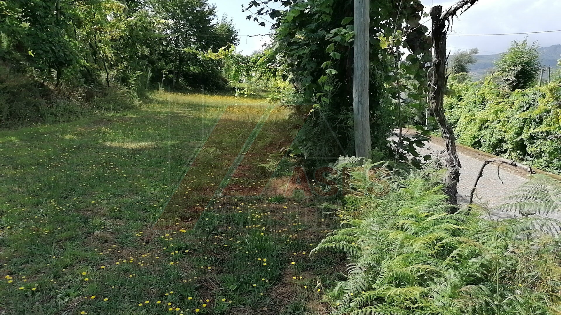Terreno Para Construcción